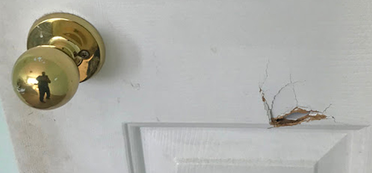 interior door hole repair Saranap