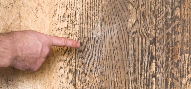 Wood Door Scratch Repair in Saranap